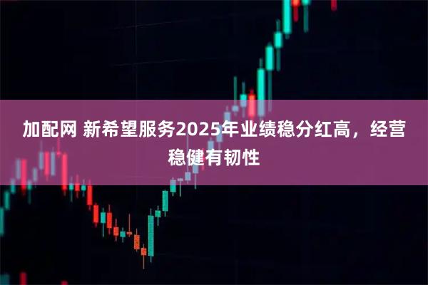 加配网 新希望服务2025年业绩稳分红高，经营稳健有韧性