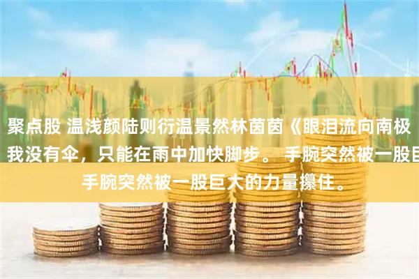 聚点股 温浅颜陆则衍温景然林茵茵《眼泪流向南极光》雨下大了。 我没有伞，只能在雨中加快脚步。 手腕突然被一股巨大的力量攥住。