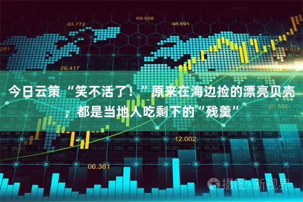 今日云策 “笑不活了！”原来在海边捡的漂亮贝壳，都是当地人吃剩下的“残羹”