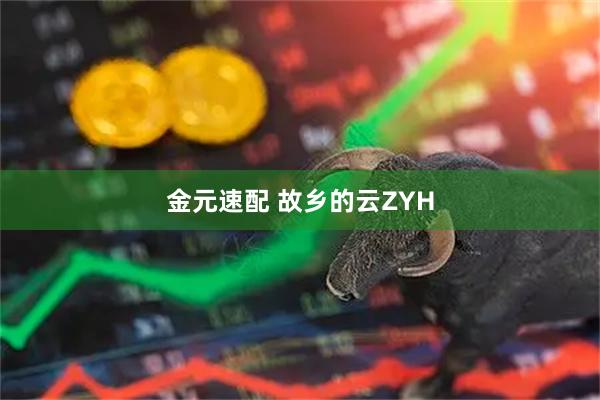 金元速配 故乡的云ZYH